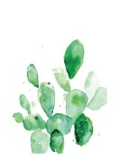 Cactus Watercolor Art | Créez votre propre affiche