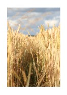 Wheat Field | Créez votre propre affiche