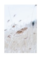 Reeds In Winter | Créez votre propre affiche