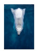 Swimming Polar Bear | Créez votre propre affiche