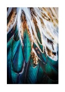 Colorful Feathers | Créez votre propre affiche