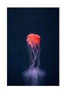 Vibrant Jellyfish In The Ocean | Créez votre propre affiche