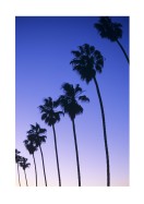 Palm Trees At Sunset In California | Créez votre propre affiche