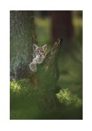 Wild Lynx In Nature | Créez votre propre affiche