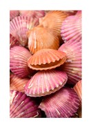 Pink Sea Shells | Créez votre propre affiche