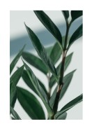 Green Plant Close-up | Créez votre propre affiche