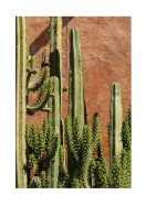 Cactus Plant In The Sun | Créez votre propre affiche