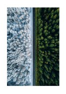 A Forest In Summer And Winter | Créez votre propre affiche