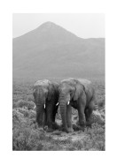 Two Elephants In Black And White | Créez votre propre affiche