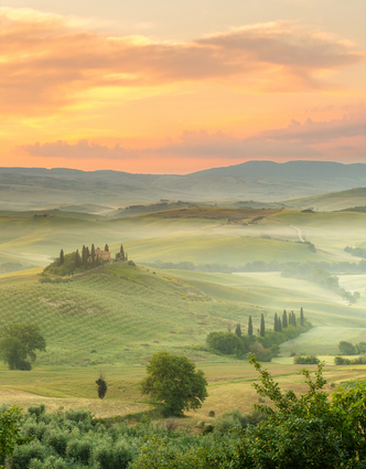 Misty Morning In Tuscany