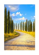 Cyprus Trees In Italy | Créez votre propre affiche